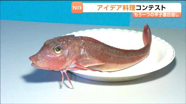 「魚の餌になるのがもったいない」高校生が石巻港のカナガシラで挑んだ「ご当地!絶品うまいもん甲子園」の勝負メニューとは?|TBS NEWS DIG