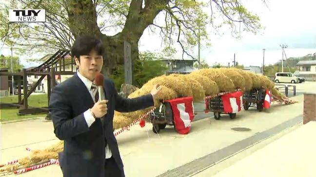 樹齢1500年！日本一の大けやきに巨大な横綱を飾る！大人と子どもが一緒になって束ね、掲げる地域の絆の象徴への思い（山形・東根市）　|TBS NEWS DIG