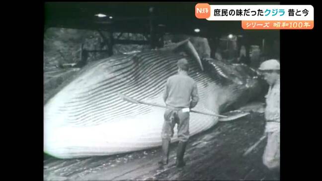 【昭和100年回顧】かつて庶民の味だった「クジラ」今も鯨食文化を支え続ける“捕鯨のまち”鮎川|TBS NEWS DIG