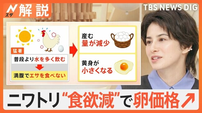 卵の価格が4か月ぶりに上昇 要因は“猛暑”と“お盆明け”のダブルパンチ?【Nスタ解説】|TBS NEWS DIG