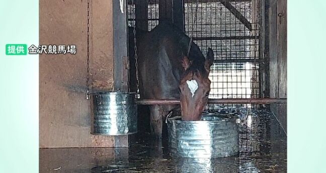 金沢競馬場の大規模浸水で石川県が競走馬の避難計画を検討へ 金沢市は“内水氾濫”対策に大型ポンプ場の設置検討へ|TBS NEWS DIG