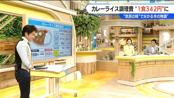 カレーライスの調理費用は｢1食342円｣に 10年前に比べて“100円近く”上昇 今年はコメと野菜が影響 具材価格は落ち着く？|TBS NEWS DIG