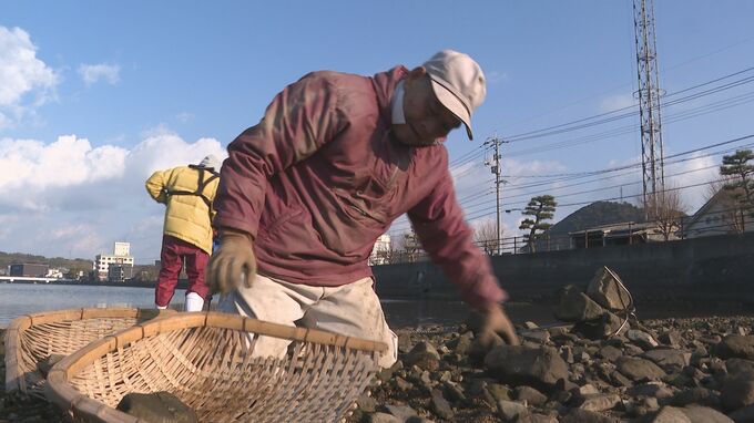 春の訪れを告げる伝統の漁にむけて　シロウオの産卵場づくり　山口県萩市|TBS NEWS DIG