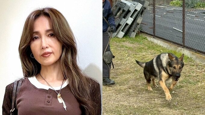 【 工藤静香 】　災害救助犬チームへ「ポータブル電源」を寄付　ライブグッズ売上の一部で支援「しーちゃんらしい社会貢献」「少しでも携われて幸せ」|TBS NEWS DIG