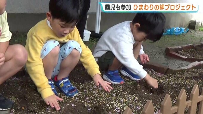 「事故しないようにお祈りした」　4歳で亡くなった男の子の“ひまわり” 広島の園児たちが繋ぐ「命のバトン」　広島　|　RCC NEWS | 広島ニュース | RCC中国放送
