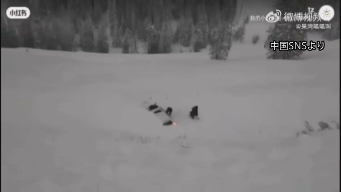 中国・新疆ウイグル自治区の観光地で雪崩　車4台巻き込まれ2人けが|TBS NEWS DIG
