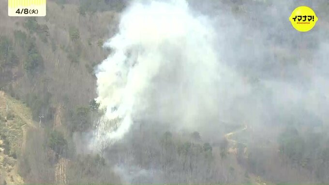 安芸太田町で8日発生の山火事が鎮火　焼損面積は3.6ha　住宅や人への被害なし　広島　|　RCC NEWS | 広島ニュース | RCC中国放送