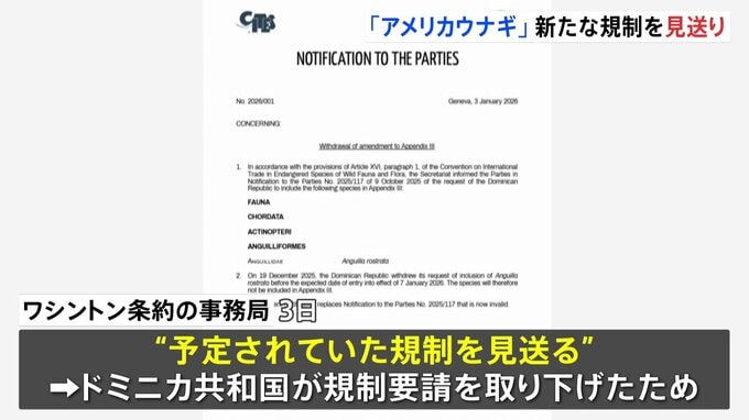 「アメリカウナギ」新たな規制見送り　日本では“かば焼き”など加工品で多く消費　規制要請のドミニカ共和国が取り下げたため