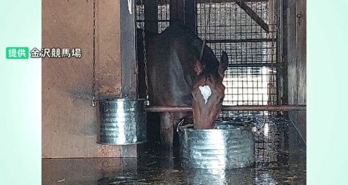 金沢競馬場の大規模浸水で石川県が競走馬の避難計画を検討へ 金沢市は“内水氾濫”対策に大型ポンプ場の設置検討へ　|　石川県のニュース｜MRO北陸放送