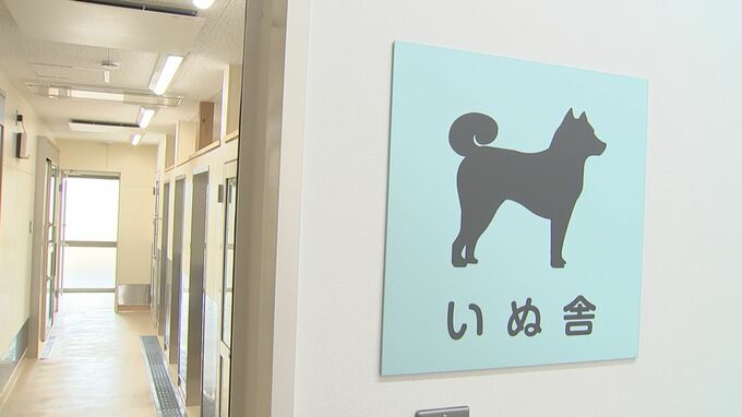 保護犬・保護猫の譲渡促進へ…飼い主への飼育教育　ドッグランやガラス張りの展示室も　鳥取県西部犬猫センター「オーリブ」開設|TBS NEWS DIG