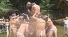 800年続く伝統の「麦餅つき祭り」　締め込み姿の氏子らが無病息災願い“あばれづき”　大分　|　大分のニュース｜OBS NEWS｜大分放送