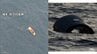 墜落した航空自衛隊三沢基地所属の無人偵察機「グローバルホーク」　機体の一部とみられる浮遊物の写真を航空自衛隊が公開　|　青森のニュース│ATV NEWS│青森テレビ