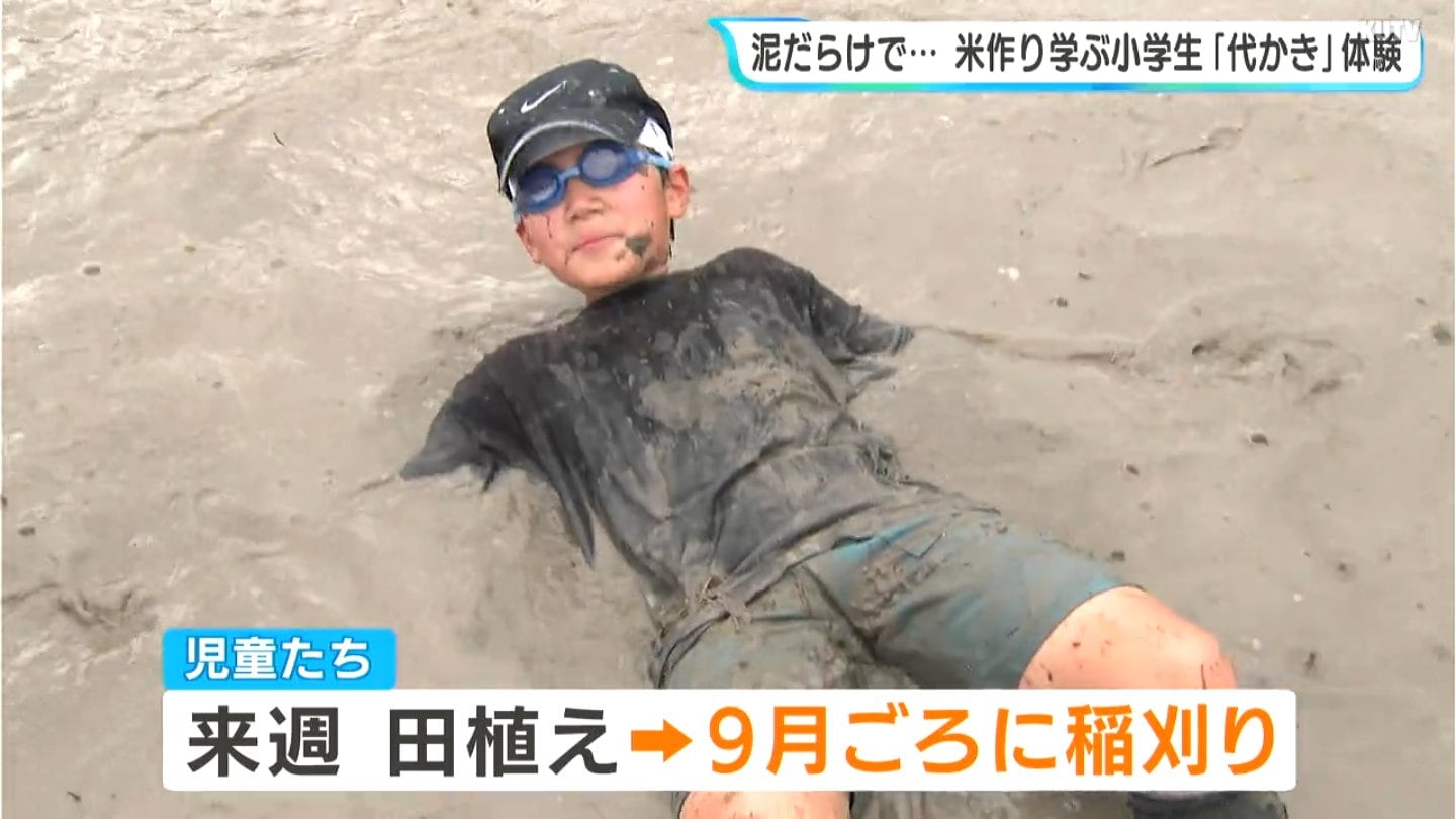 全身泥だらけで「どんどん沈む」小学生が田んぼで