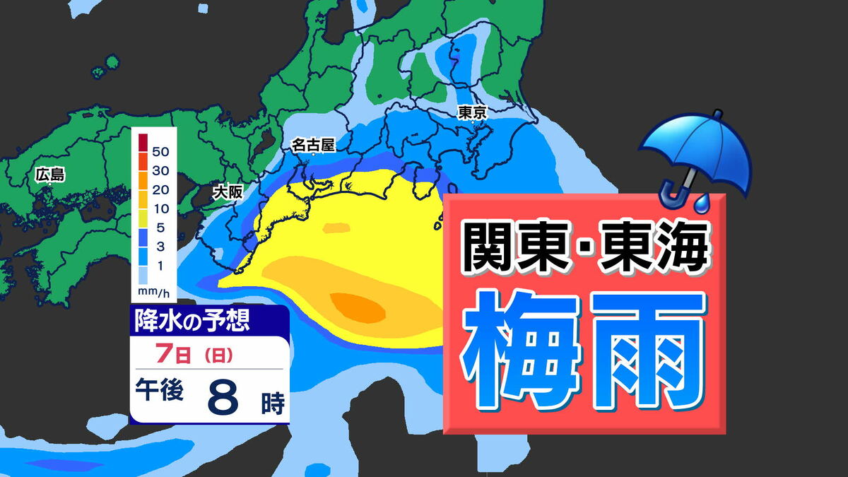 関東甲信 東海 梅雨入り】8日（月）にかけて雨 梅雨の雨量は？【雨