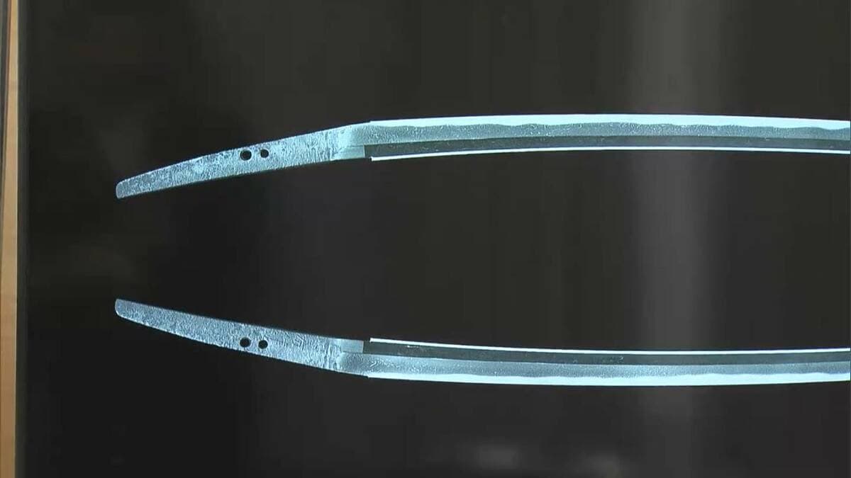 国重文の日本刀「太刀 銘 信房作」を瀬戸内市に寄贈 特別展で公開へ
