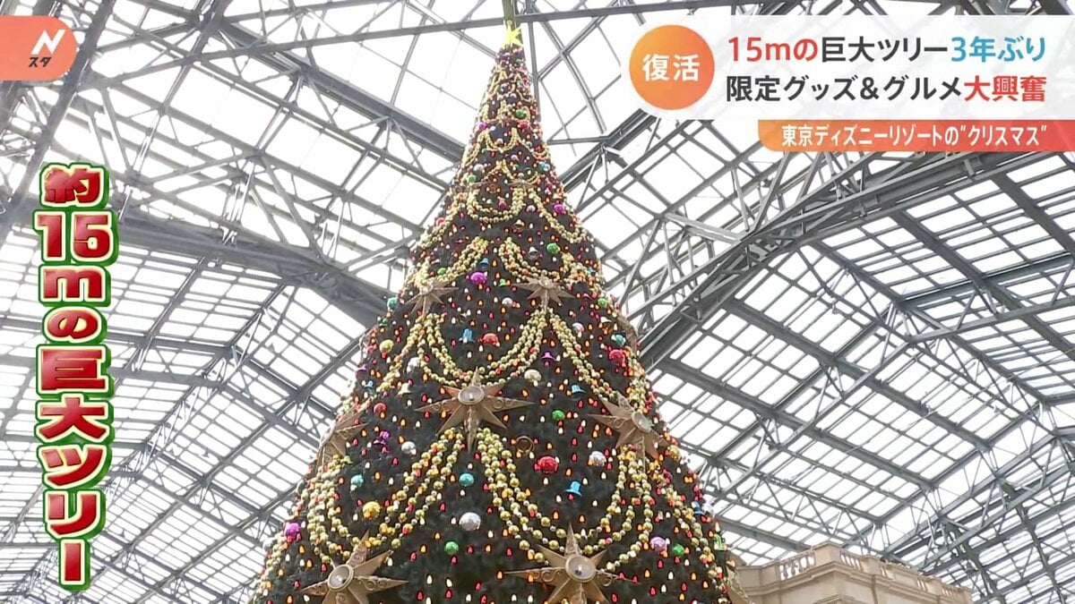 巨大クリスマスツリー 千代田区「KITTE」に、モミの木を使用した巨大クリスマスツリーが出現