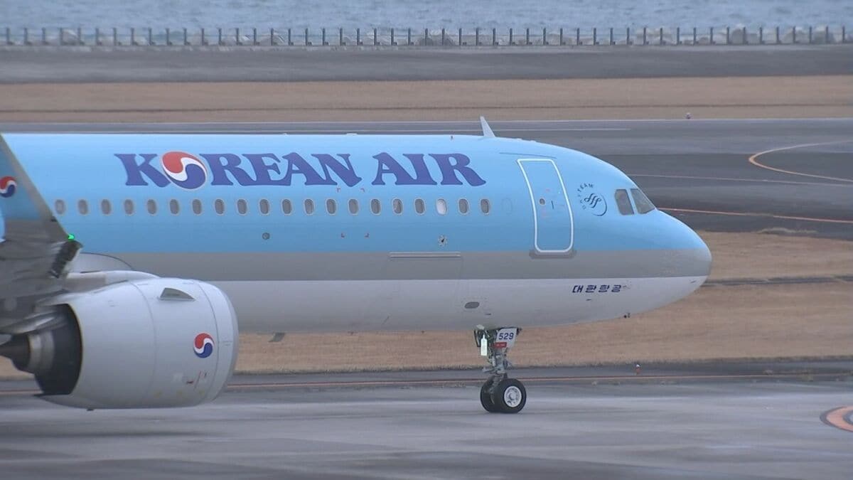 大分ｰソウル便が大幅拡充　2年半ぶりに大韓航空が運航再開　チェジュ航空も「毎日運航」へ