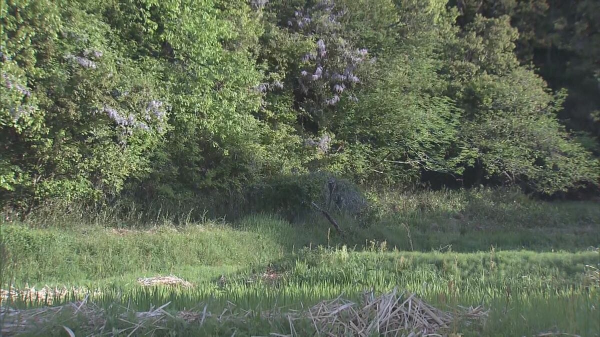 ｢180センチほどのクマが目の前に｣ 冬眠終わり…出没相次ぐ 岐阜の小学校近くで目撃 猟友会が箱わなを仕掛ける対策も