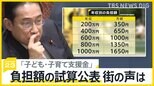 年収600万円で月1000円 「子ども・子育て支援金」年収別の負担額の試算公表 街の声は？ 事業者も“負担増”への懸念も【news23】|TBS NEWS DIG