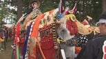 チャグチャグ馬コ6月13日に開催決定　警備費高騰で3市町合わせて1400万円負担、パレード規模を維持へ　岩手　|　IBC NEWS | IBC岩手放送