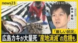 冬の味覚“広島産の生ガキが入荷できない”カキ大量死で“産地消滅”の危機も…鈴木農水大臣が視察「厳しい状況」【news23】|TBS NEWS DIG