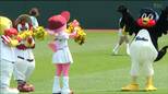 【楽天イーグルス】セ・パ交流戦 ・31日ヤクルト戦で初勝利ならず6連敗　|　宮城のニュース│tbc NEWS│tbc東北放送