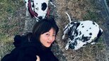 【高岡早紀】愛犬ダルメシアン2頭と「お花見のんびり散歩」桜の下できりっとポーズにフォロワー感心「桜によく映えてる」|TBS NEWS DIG