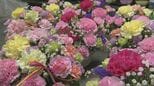 「母の日」目前…生花店が苦境のワケ　「お花は長いことあげていない」深刻な“花離れ”に“中東情勢”が追い打ち　仕入れ値3～4割アップ|TBS NEWS DIG