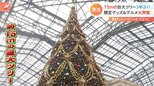 クリスマス商戦スタート「ディズニー・クリスマス」で巨大ツリーが3年ぶりに復活! 話題の“ヌン活”もクリスマス仕様に|TBS NEWS DIG