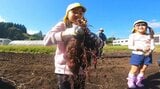 「みんなで焼き芋にして食べたい」高校生と園児が秋の味覚、サツマイモ収穫体験　大分・竹田市　　|　大分のニュース｜OBS NEWS｜大分放送
