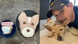 【 いぬ 】照英さん「愛犬テン20歳の誕生日」 “人間換算で96~100歳” 「本当に本当におめでとう!」フォロワーからも祝意多数|TBS NEWS DIG