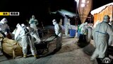 三沢市の鳥インフル137万羽の処分に青森県内全市町村へ協力要請|TBS NEWS DIG