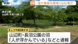 「人が浮かんでいる」山辺町の沼で70代男性が死亡 公園の沼、海水浴場、川...県内で水に関わる死亡事故相次ぐ(山形) |TBS NEWS DIG