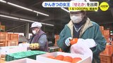 濃厚な果汁と強い甘み　かんきつの女王「せとか」を出荷　広島・尾道市|TBS NEWS DIG