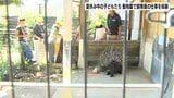 「どこが大変でどこがうれしいかを体験してみたい」夏休み中の子どもたち 動物園で飼育員の仕事を体験 | 高知のニュース・天気|KUTV NEWS | KUTVテレビ高知