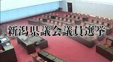 新潟県議選は『過去最多』の13選挙区で“無投票”当選 民意は反映されるのか?|TBS NEWS DIG
