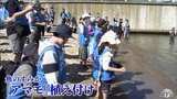 魚のすみか「アマモ」植え付け ビーチで環境保全イベント 青森県青森市 | 青森のニュース│ATV NEWS│青森テレビ