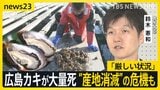 冬の味覚“広島産の生ガキが入荷できない”カキ大量死で“産地消滅”の危機も…鈴木農水大臣が視察「厳しい状況」【news23】|TBS NEWS DIG