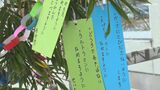 保育園児が七夕に交通安全願う 石垣市 | 沖縄のニュース|RBC 琉球放送