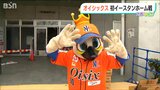 試合も! グルメも! オイシックス新潟アルビレックスBC 楽天との“歴史的”ホーム開幕戦に挑む|TBS NEWS DIG