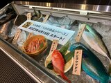 【くら寿司】北海道はホッキガイ 九州はアオリイカ 地域限定の天然魚を全国22ブロックで展開「他の回転寿司とメニューを差別化したい」|TBS NEWS DIG