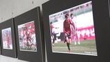 ファジアーノの「百年構想リーグ」 激闘振り返る写真パネル展 シゲトーアリーナ岡山で7月20日まで【岡山】 | 岡山・香川のニュース | 天気 | RSK山陽放送