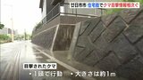 「高校の塀を乗り越えていった」廿日市市でクマの目撃情報相次ぐ　警察がパトロール実施　広島|TBS NEWS DIG