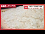 コメ高騰に耐え切れず札幌の「卸売業者」が破産 小売店側からのプレッシャー「安いところを探しますで、取引終了」代理人弁護士が指摘する“立場の弱さ” | 北海道のニュース|HBC北海道放送