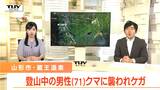 蔵王で男性がクマに襲われる　熊の人的被害は今年2件目　頭や顔にケガをした状態で山形駅前のホテルに行き従業員が通報（山形）　|　山形のニュース│TUYテレビユー山形