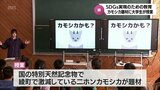 綾町で激減している二ホンカモシカを題材にした絵本 制作した大学生が地元の小学生に授業 | MRTニュース | MRT宮崎放送