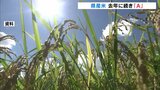 5年連続で特A逃す「米の食味ランキング」 今後は高温に強い「富富富」を中心に高品質を目指す | 富山のニュース|天気・防災|チューリップテレビ