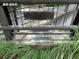 ボルト外され…真ちゅう製の橋名板4枚盗まれる 同様の約600橋を緊急点検へ=浜松市 | 静岡のニュース | SBSNEWS | 静岡放送