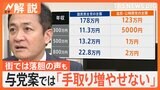 年収「103万円の壁」見直し、国民「178万円」与党「123万円」で収入はどのくらい増える？【Nスタ解説】|TBS NEWS DIG