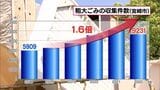 収集件数が6年間で1.6倍 宮崎市の粗大ごみが急増している理由は? | MRTニュース | MRT宮崎放送